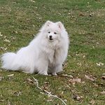 JoAnn Starr - @joastarr - Instagram