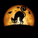 JoAnn Stein - Facebook