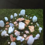 JoAnn Steinberg - @joannsteinberg - Instagram
