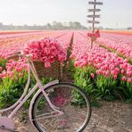 Joann Steinhauser - Facebook