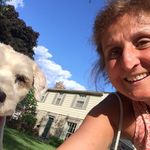 Joann Stern - @josternfoodluv - Instagram