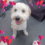 Joanne Laforest Stover - @laforestjoanne - Instagram