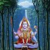 sanskriti - @joann_stover98 - TikTok