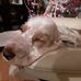 Jo-Anne Stuart - Facebook