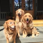 Joann Stuart - @joanns44 - Instagram