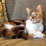 Joann Stuart - @joann.stuart.9 - Instagram