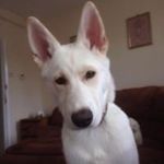 Joanne Stuart - @stuart.joanne - Instagram