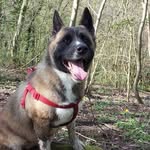 Joanne Stuart - @joannestuart68 - Instagram