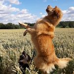 Joanne Stumpf - @joanne.stumpf - Instagram