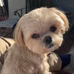 Jo Ann Hicks - @joannsunlakes - Instagram