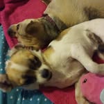 joann sun pit mom - @joann_sun_pit_mom - Instagram