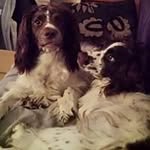 Jo-ann Sutton - @joann.sutton - Instagram