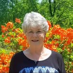 joann.sutton - @joann.sutton.547 - Instagram