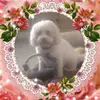 Joan Swift - @joan.swift - TikTok