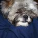 Jo Ann Switzer - Facebook