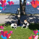 Joan Switzer - @joan.switzer - Instagram