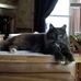 JoAnn Sylvester - Facebook