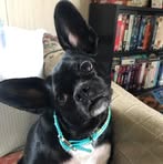Joann Templeton - Facebook