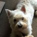 Joanne Templeton - Facebook