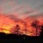 Joann Testerman - @joanntesterman - Instagram