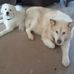 Joan Thacker - Facebook