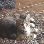 Joann Thornton - @joann.thornton.547 - Instagram