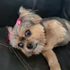 Joan Tucker - @joantucker56 - TikTok