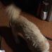 Joann Tucker - Facebook