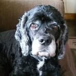 Joanne Tuttle - @tuttlejoanne - Instagram