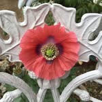 JoAnn Tyner Weeks - @tynerweeks - Instagram