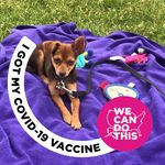 JoAnn Vail - @joannvail - Instagram