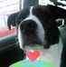JoAnn Varner - Facebook