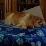 Jo Ann Vinson - @joann.vinson00 - Instagram