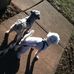 JoAnn Vinson - Facebook