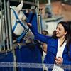 joannavinson - @joannavinson - TikTok