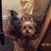 JoAnn Wainwright - Facebook