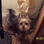 JoAnn Wainwright - @wainwrightjoann - Instagram