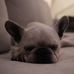 Joann Walden - Facebook