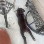 JoAnn Weinberg Eaddy - @jweaddy - Instagram