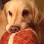 Joan Weinstein - @emoscroc - Instagram