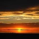 Joan Weinstein - @joan.weinstein.1 - Instagram