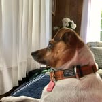 Joann Weiss Adler - @jo.adler - Instagram