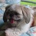 Joanne Weiss - Facebook