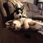 Joann Welch - Facebook