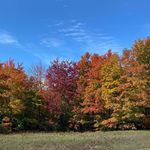 Joann Wenzel - @jcee6 - Instagram