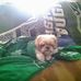 Joanne Wenzel - Facebook