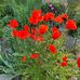 Joann Whitaker Carpp - Facebook