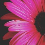 Joann Willard - @joannwillard1981 - Instagram