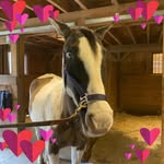 Joann Wills - @joannwills - Instagram