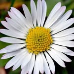 Jo Ann Wingard - @wingard.joann - Instagram